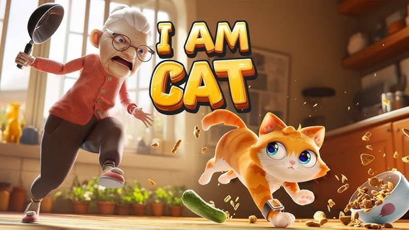 i am cat